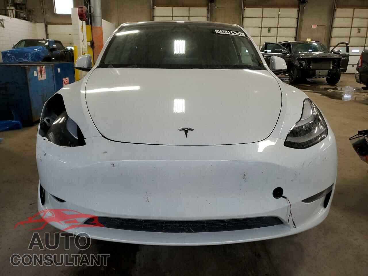 TESLA MODEL Y 2024 - 7SAYGDEE5RF191281