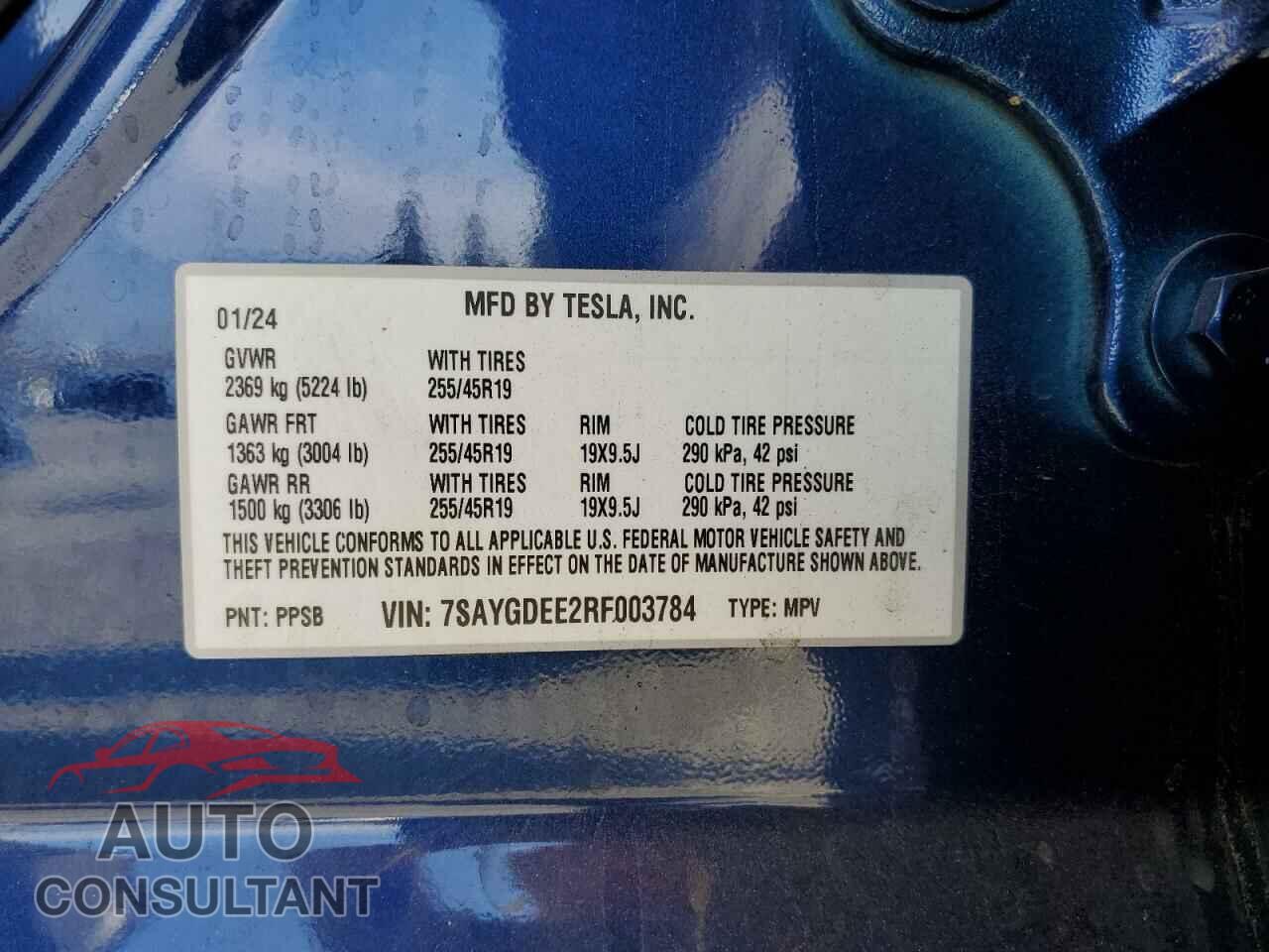 TESLA MODEL Y 2024 - 7SAYGDEE2RF003784