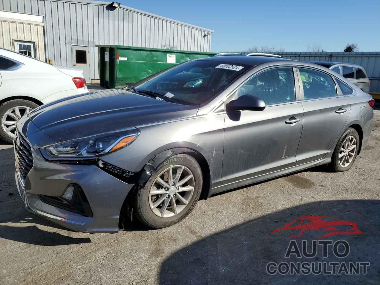 HYUNDAI SONATA 2019 - 5NPE24AF2KH810522