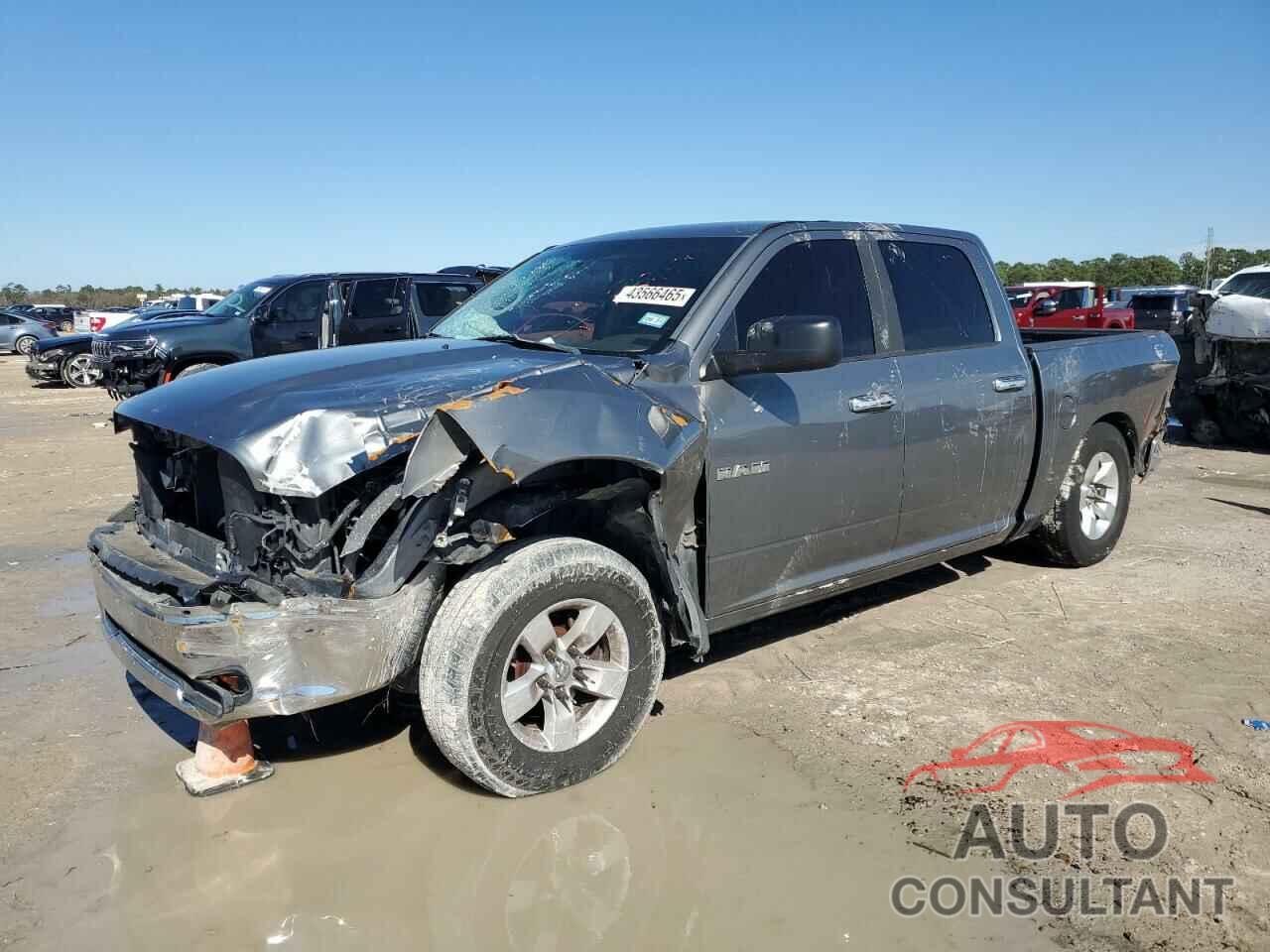 DODGE All Models 2010 - 1D7RB1CP1AS219125