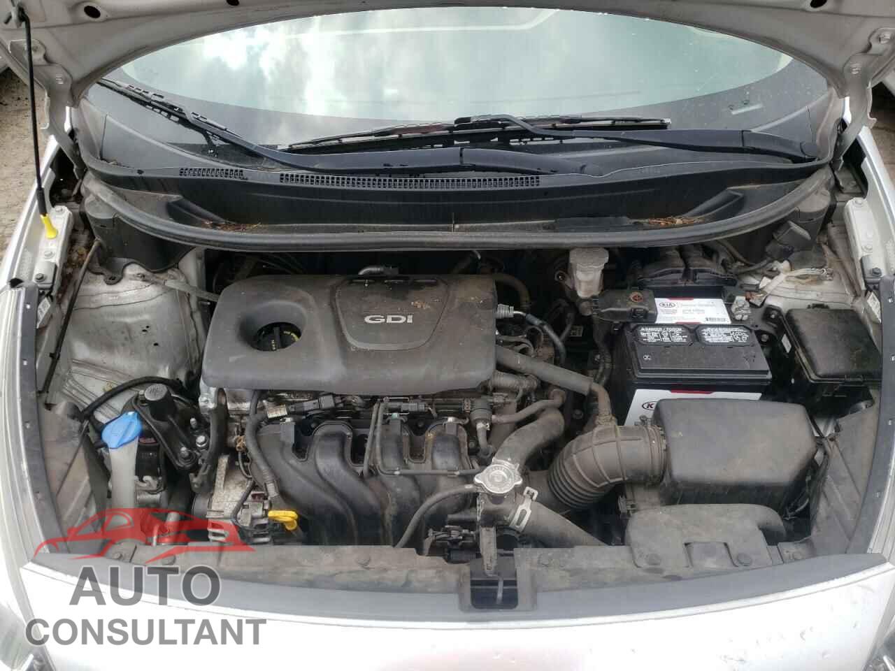 KIA RIO 2016 - KNADM4A33G6686321