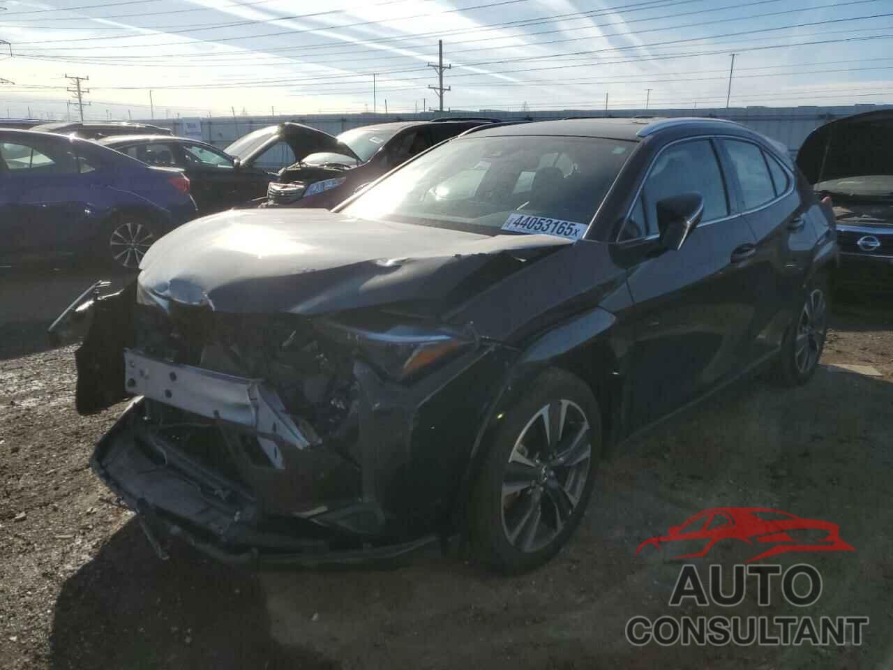 LEXUS UX 250H PR 2023 - JTHP9JBH1P2068012