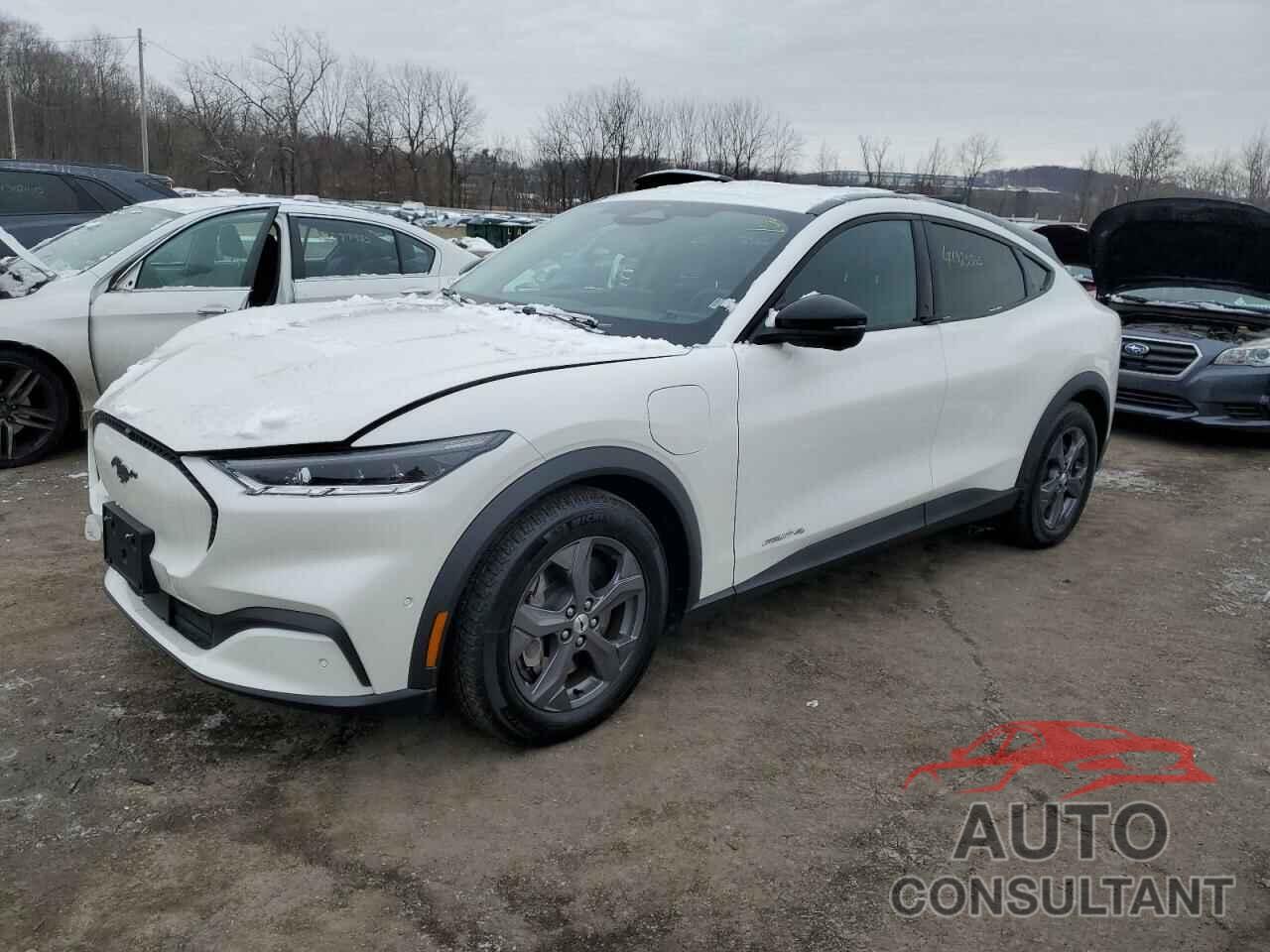 FORD MUSTANG 2023 - 3FMTK1SS0PMA17752