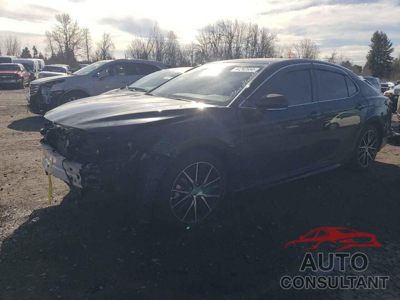 TOYOTA CAMRY 2022 - 4T1S31AKXNU587079
