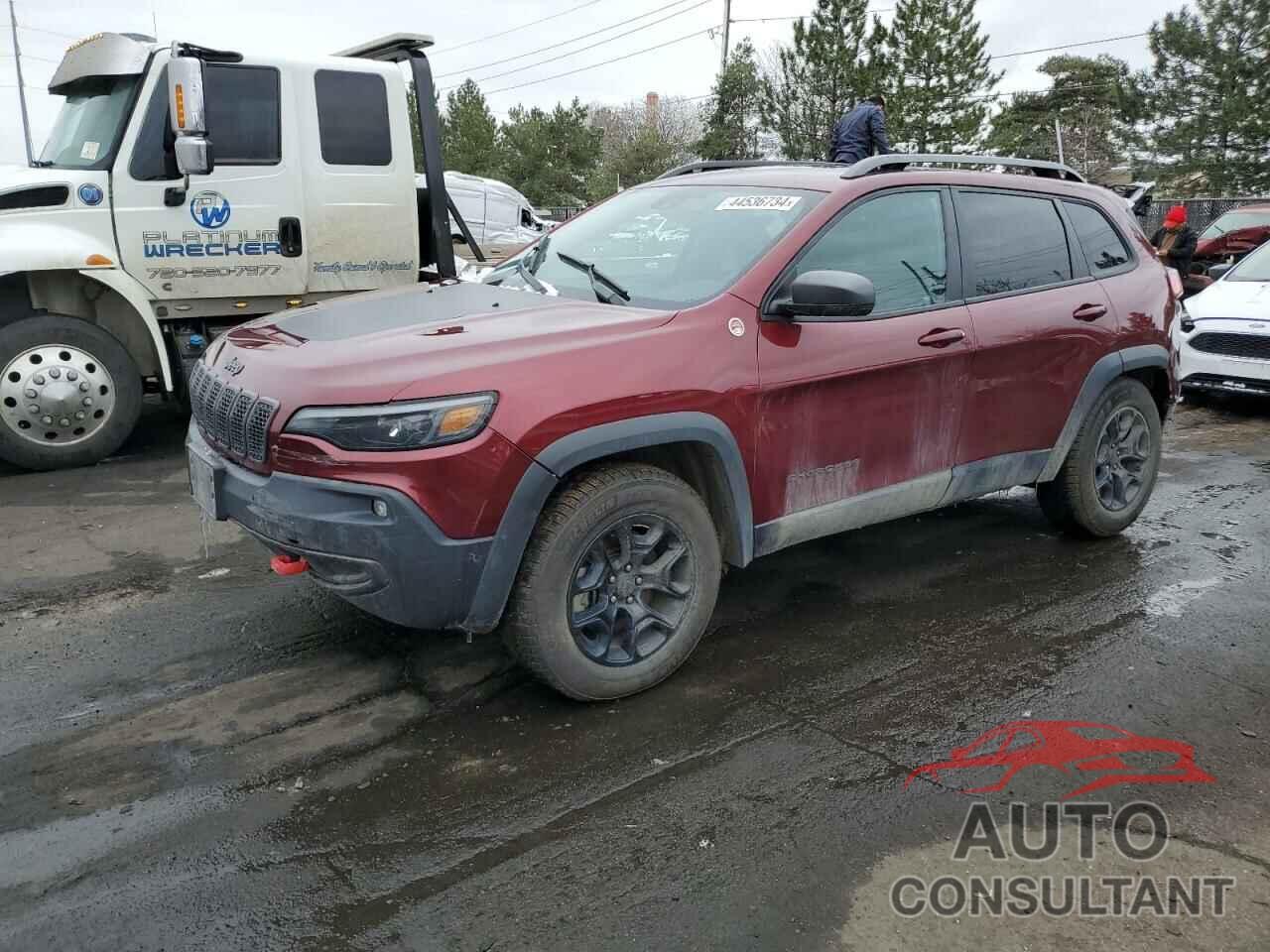 JEEP CHEROKEE 2019 - 1C4PJMBX5KD142188