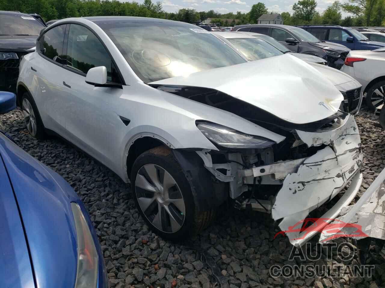 TESLA MODEL Y 2021 - 5YJYGDEE5MF072717