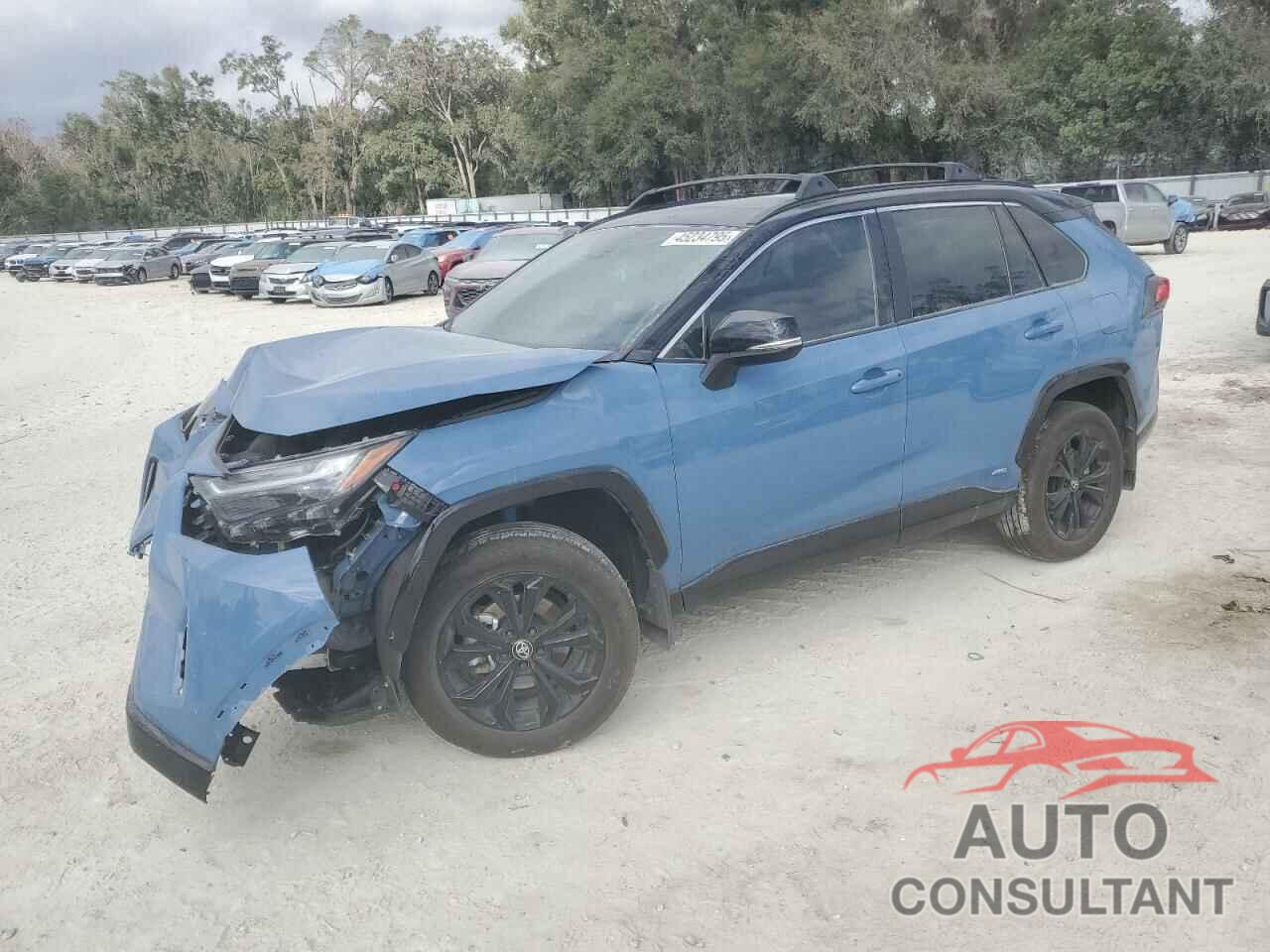 TOYOTA RAV4 2024 - 2T3E6RFV3RW062271