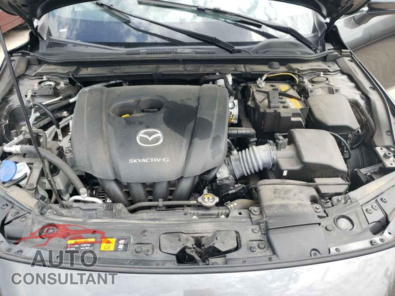 MAZDA 3 2019 - JM1BPALM0K1108513