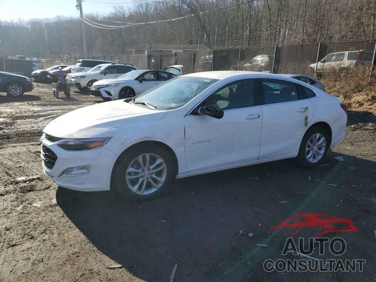 CHEVROLET MALIBU 2024 - 1G1ZD5ST0RF117189