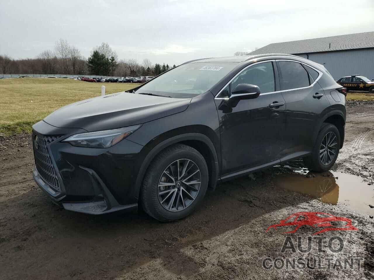 LEXUS NX 350 BAS 2024 - 2T2AGCEZ5RC041893