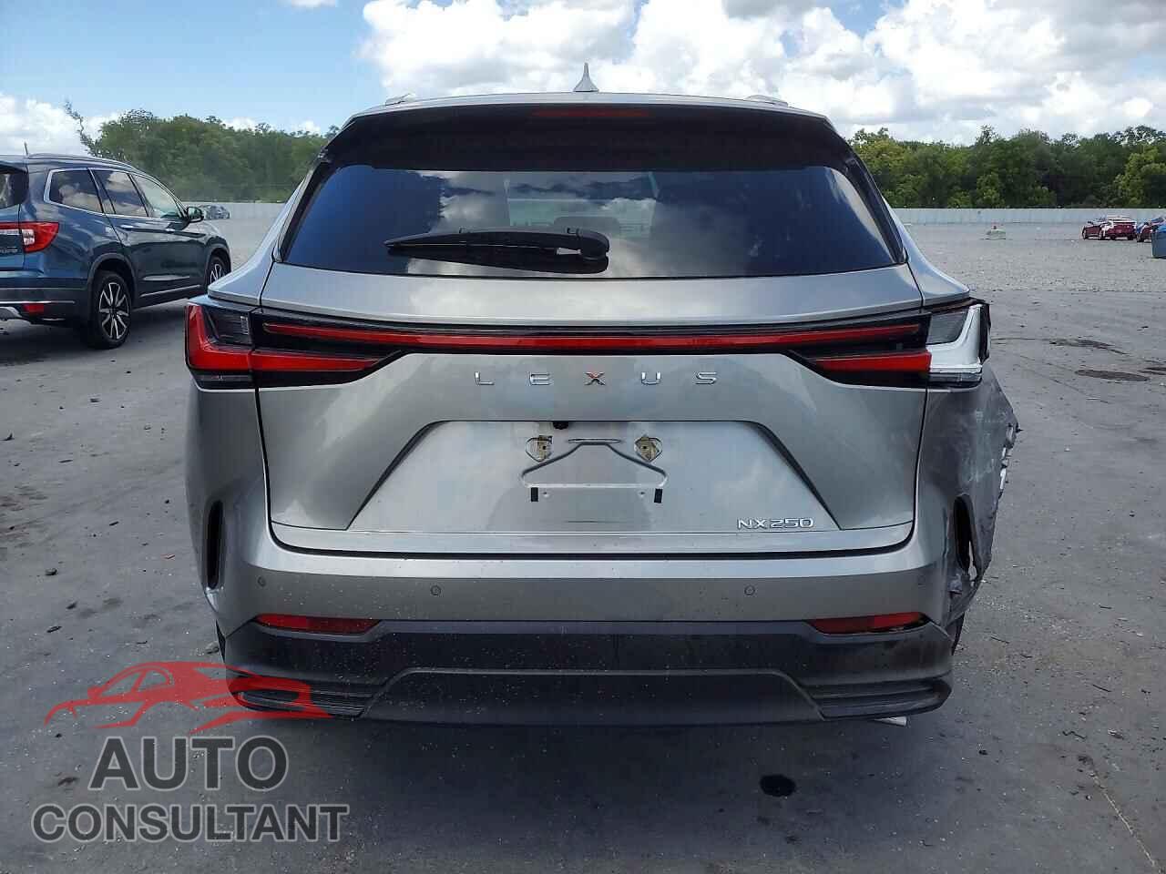 LEXUS UNKNOWN 2024 - 2T2GDCAZ1RC011010