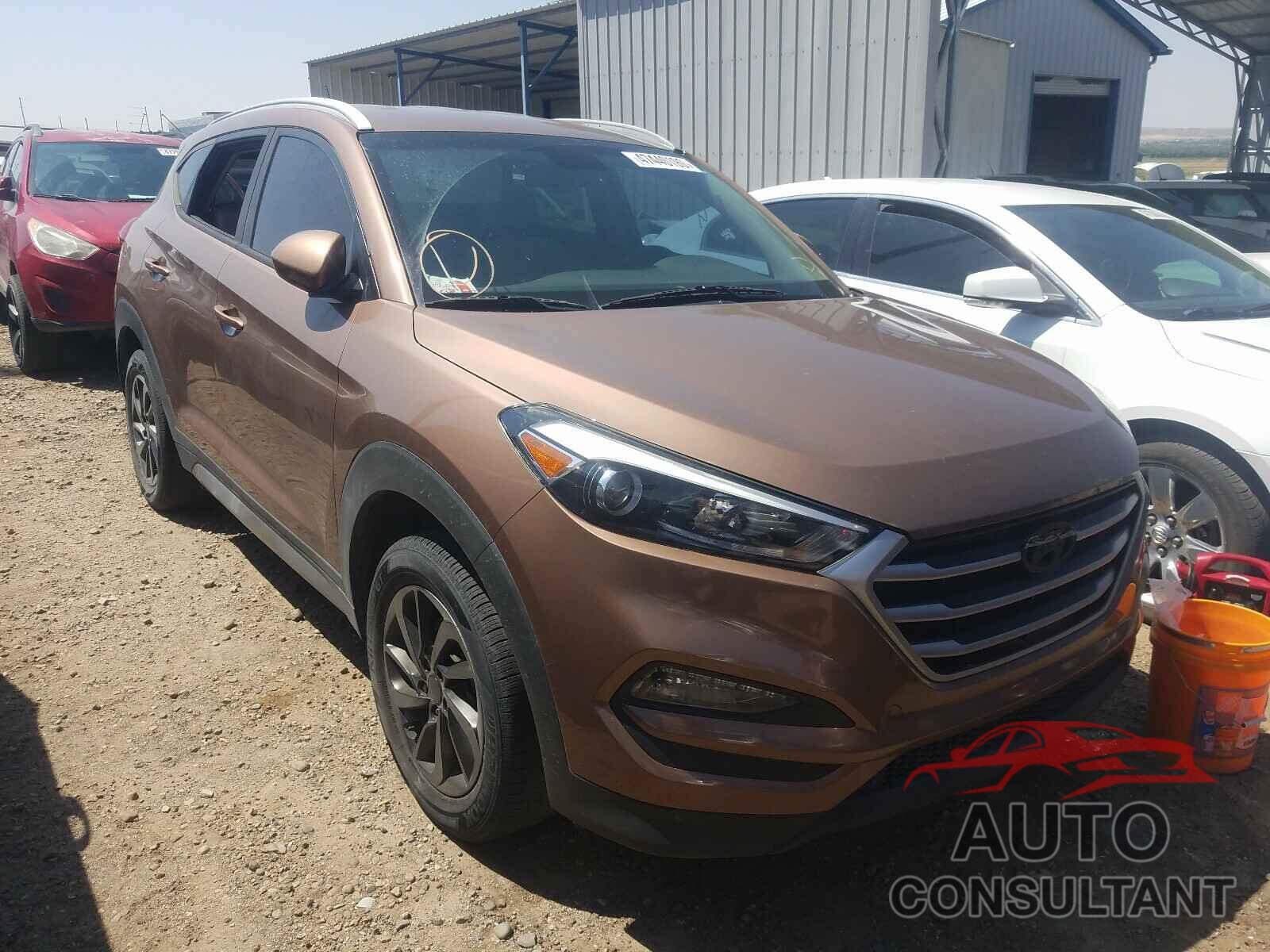 HYUNDAI TUCSON 2017 - KM8J3CA45HU316136
