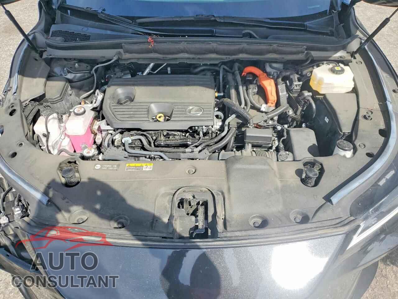 LEXUS UNKNOWN 2024 - 2T2BBMCA8RC031932