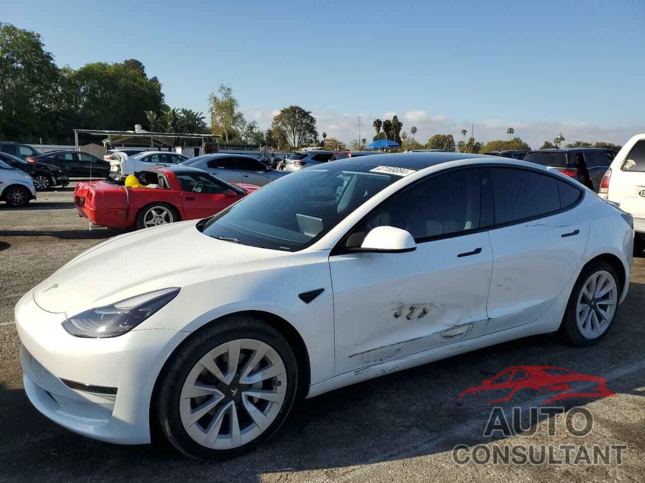 TESLA MODEL 3 2023 - 5YJ3E1EA1PF561034