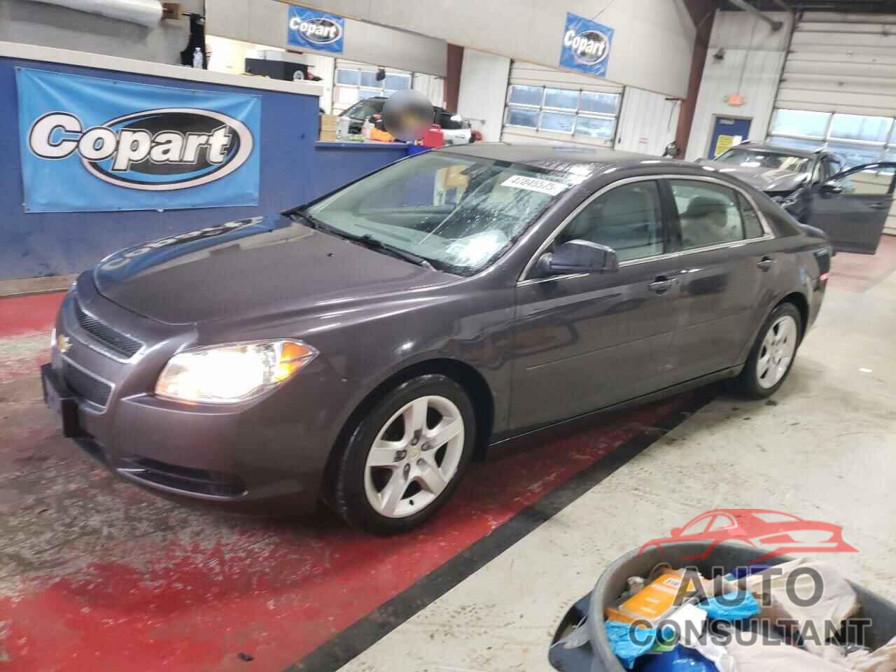 CHEVROLET MALIBU 2011 - 1G1ZB5E15BF105948