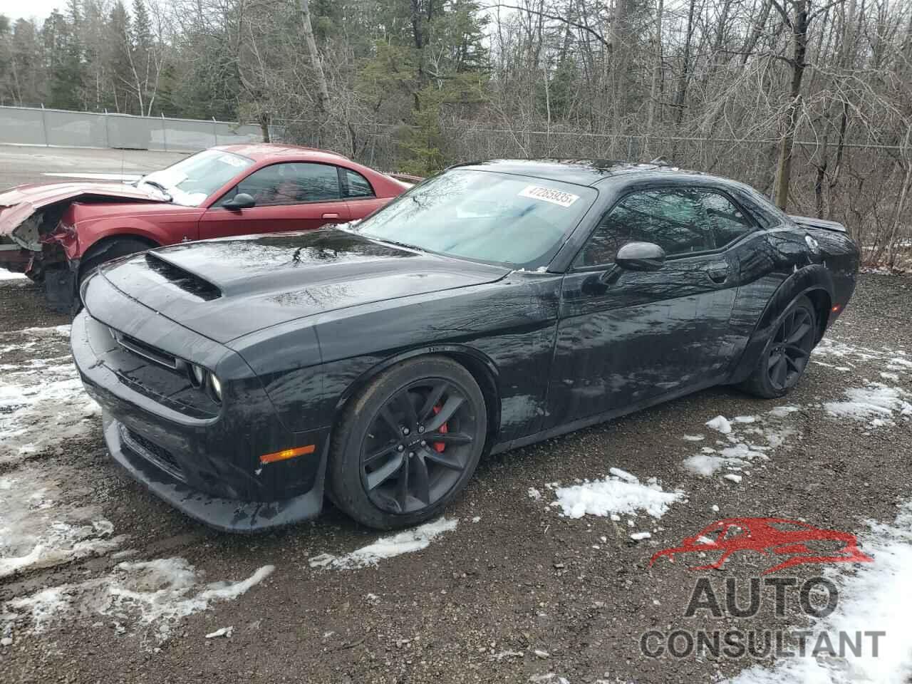 DODGE CHALLENGER 2022 - 2C3CDZBT1NH101939