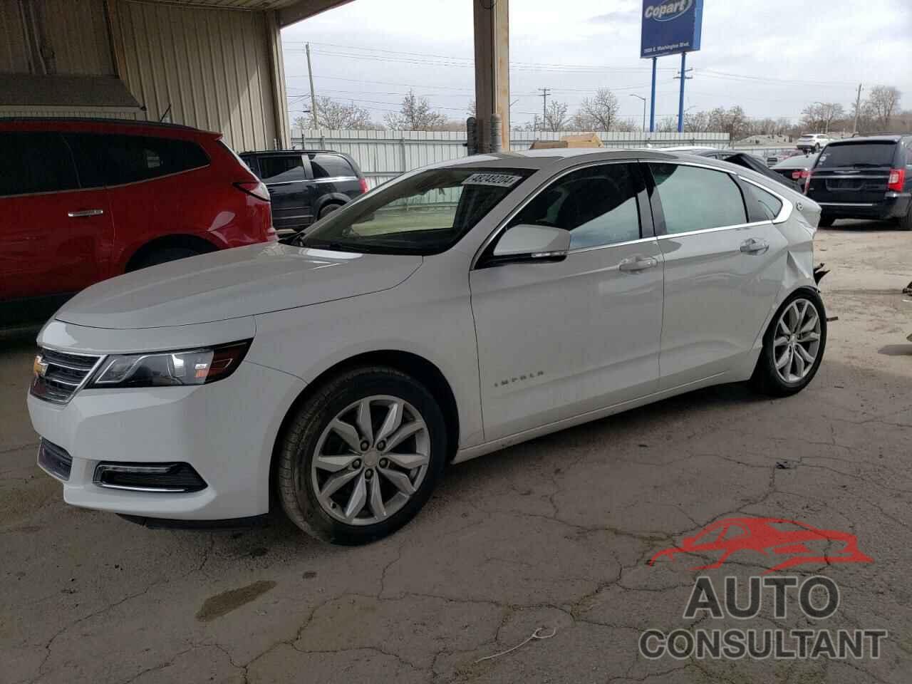 CHEVROLET IMPALA 2019 - 1G11Z5SA5KU138649