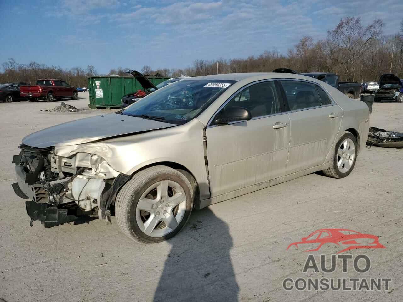 CHEVROLET MALIBU 2010 - 1G1ZB5EB8AF135484
