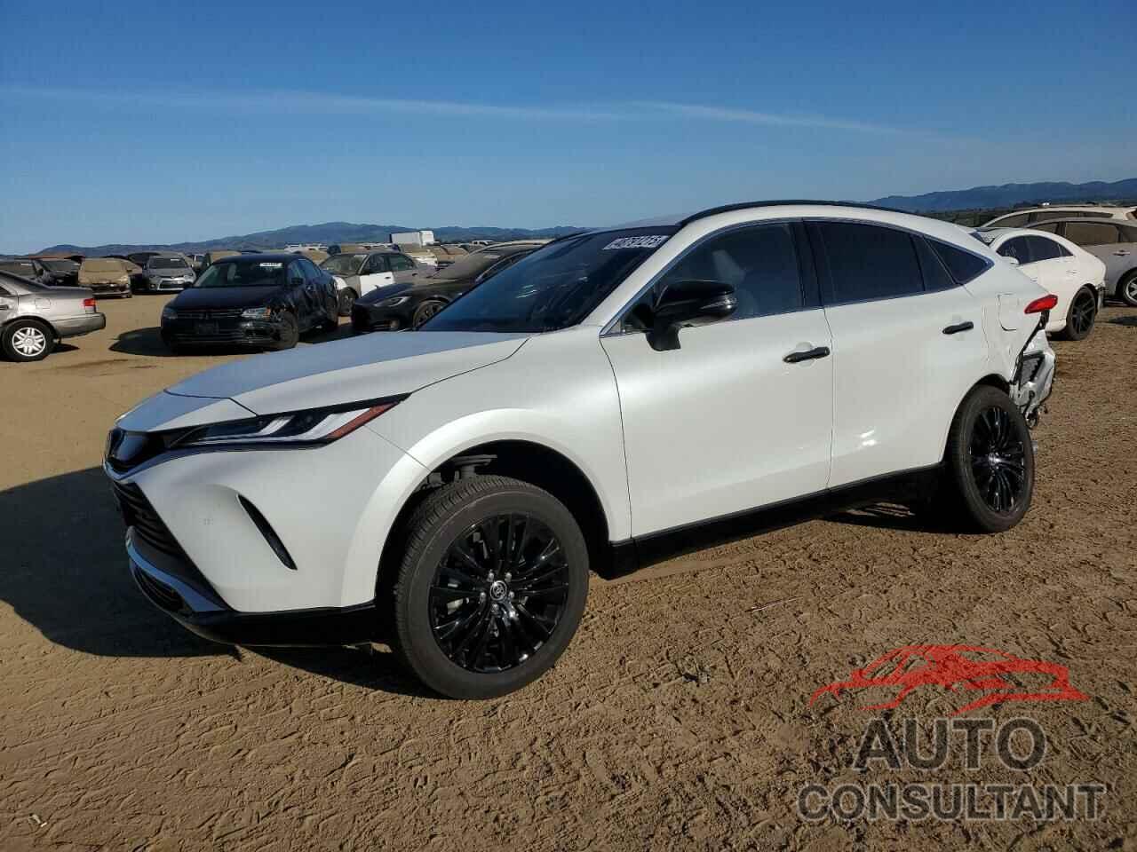 TOYOTA VENZA 2023 - JTEAAAAH6PJ137827