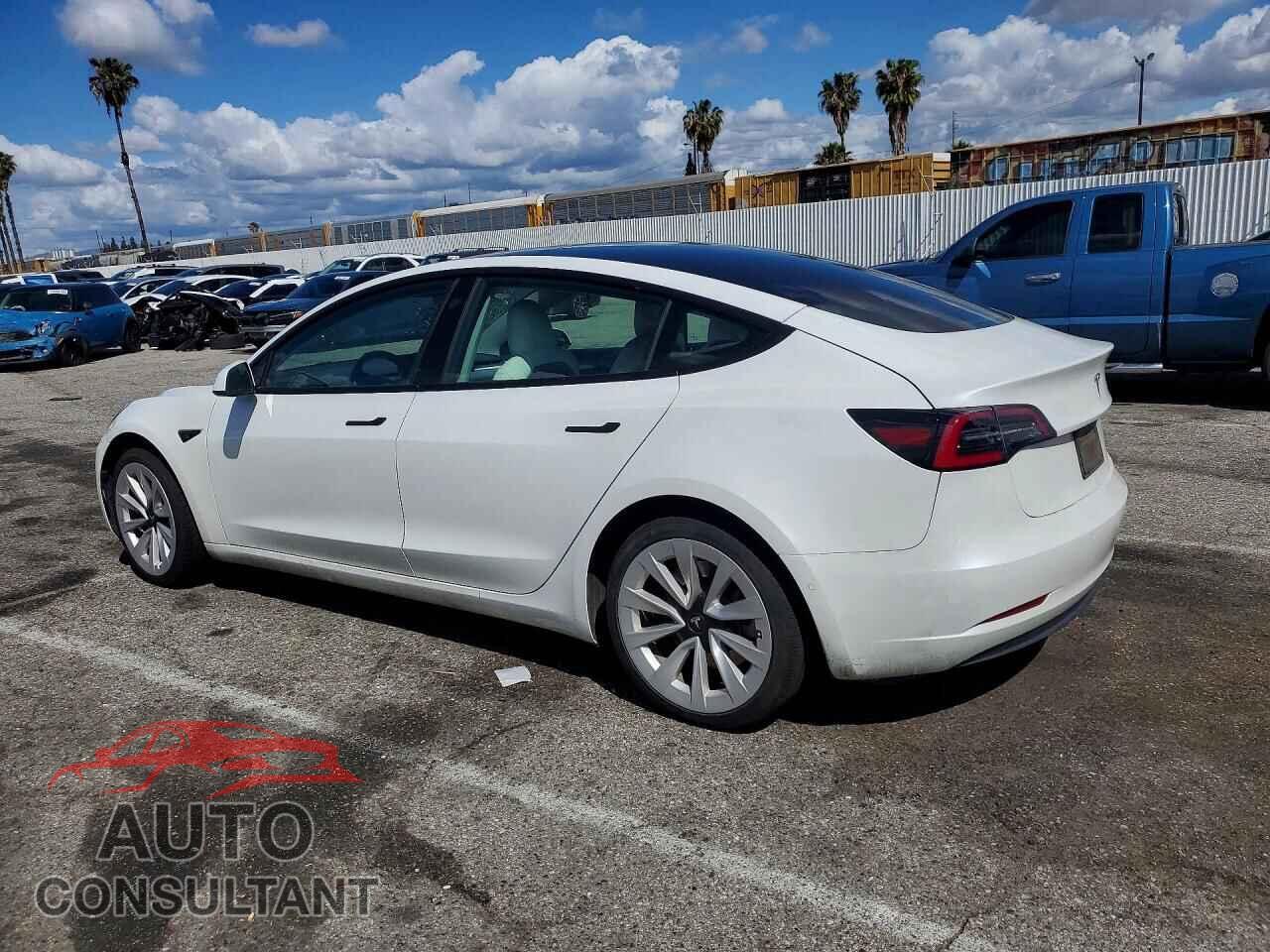 TESLA MODEL 3 2021 - 5YJ3E1EA9MF983113