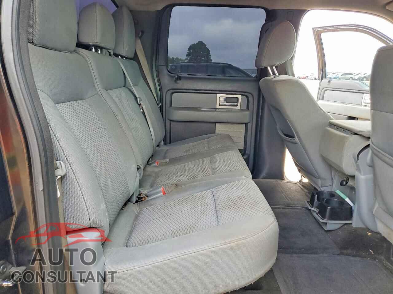 FORD F150 2011 - 1FTFW1CF0BFA51156
