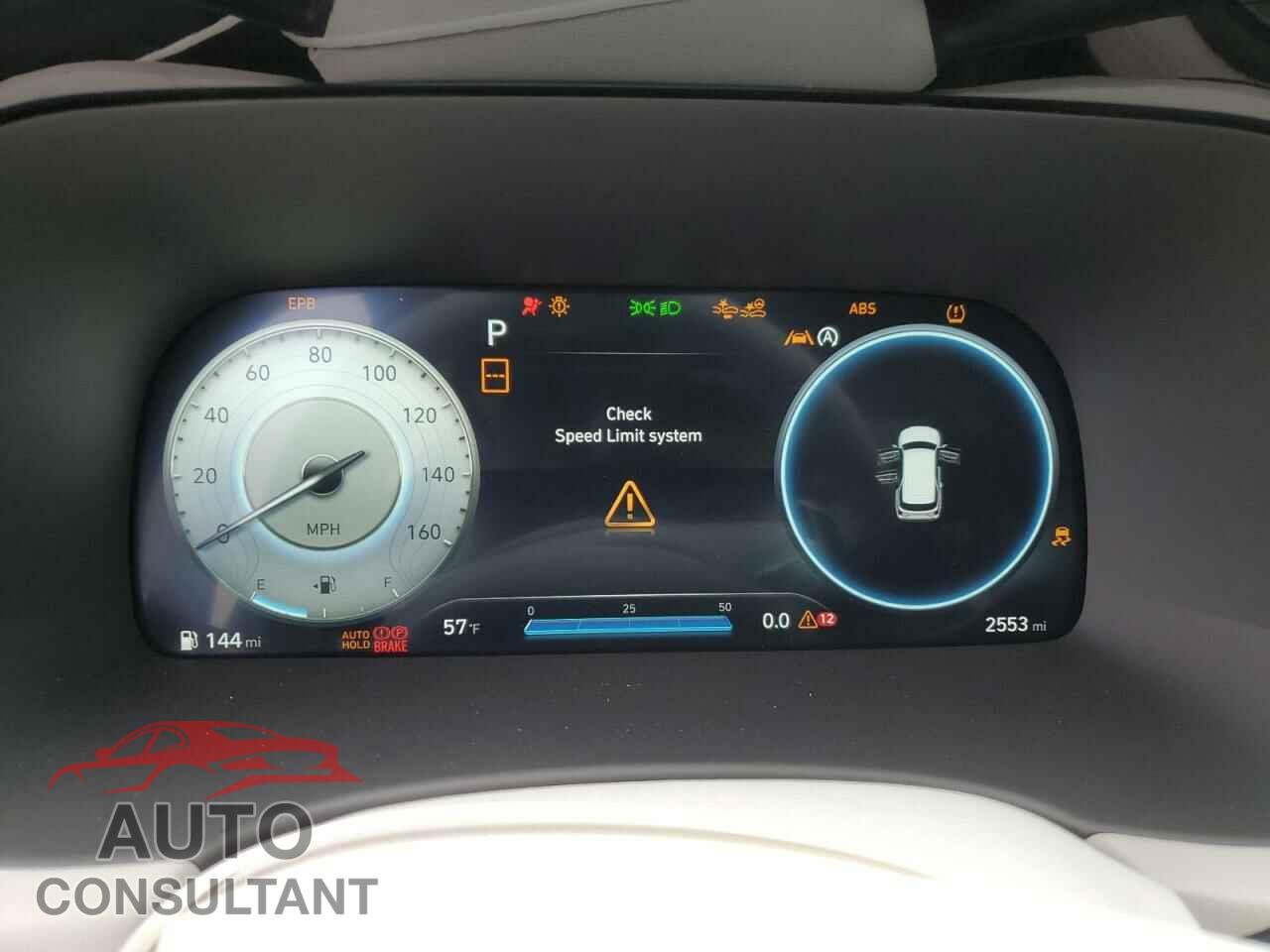 HYUNDAI PALISADE 2024 - KM8R54GE3RU698381