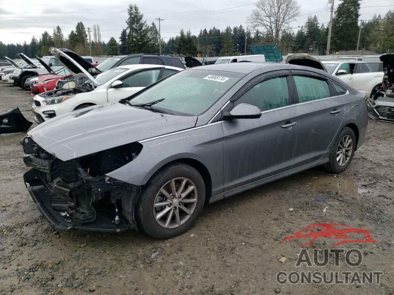 HYUNDAI SONATA 2019 - 5NPE24AF4KH756057