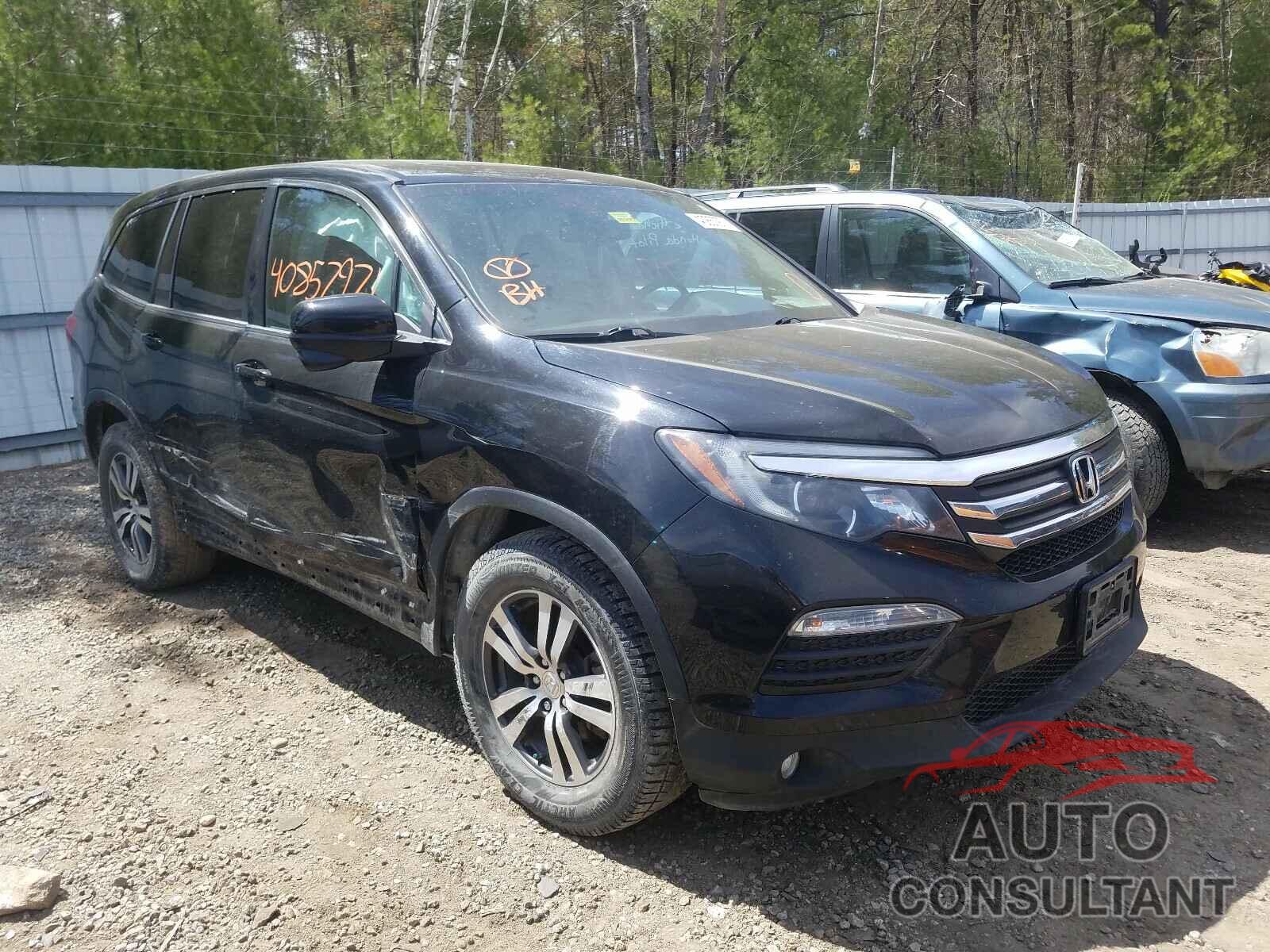 HONDA PILOT 2016 - 5FNYF6H50GB056259