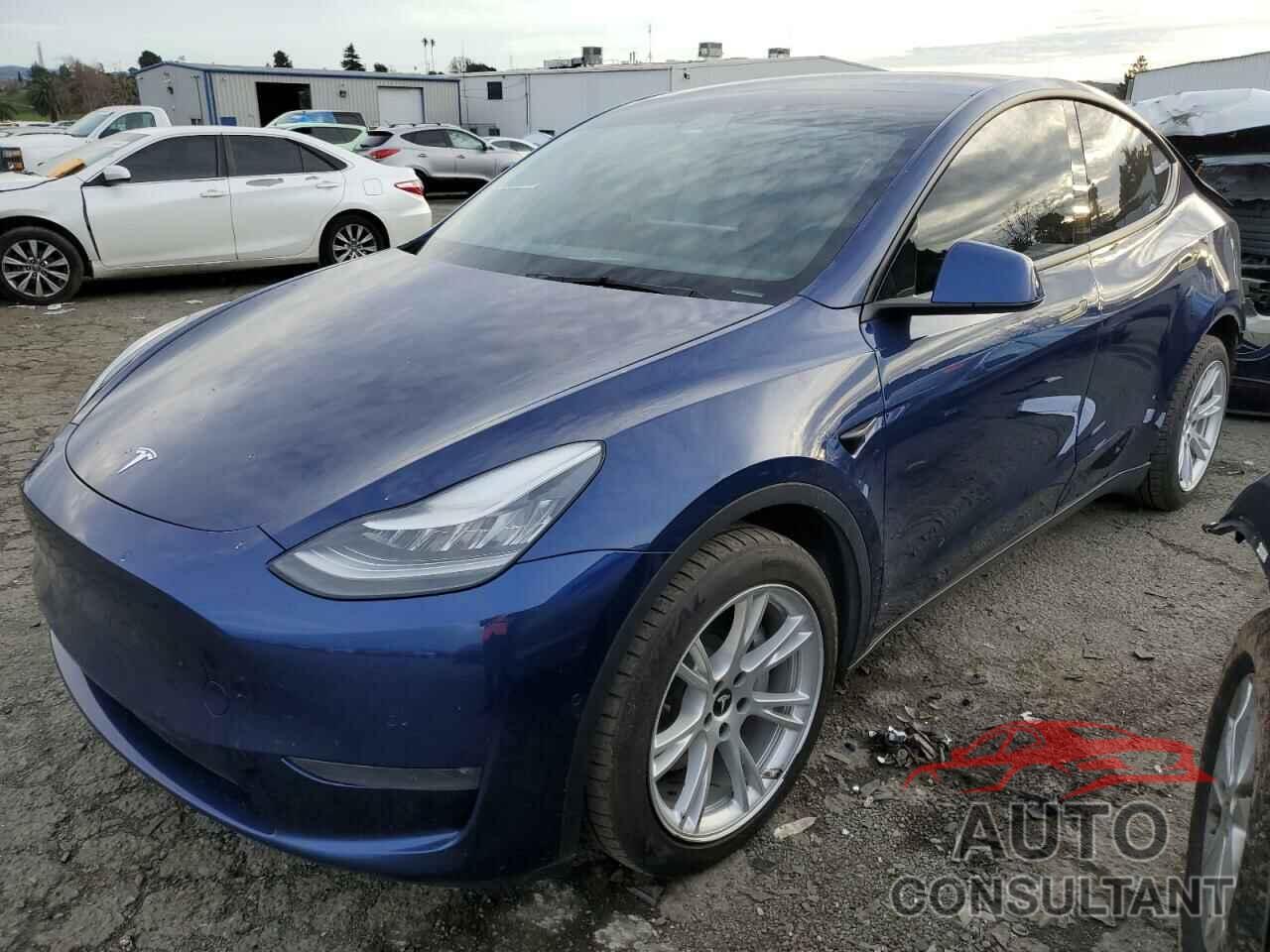 TESLA MODEL Y 2021 - 5YJYGDEE2MF095923