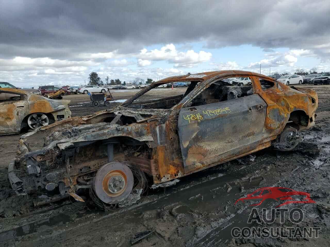 FORD MUSTANG 2020 - 1FA6P8CF6L5173491