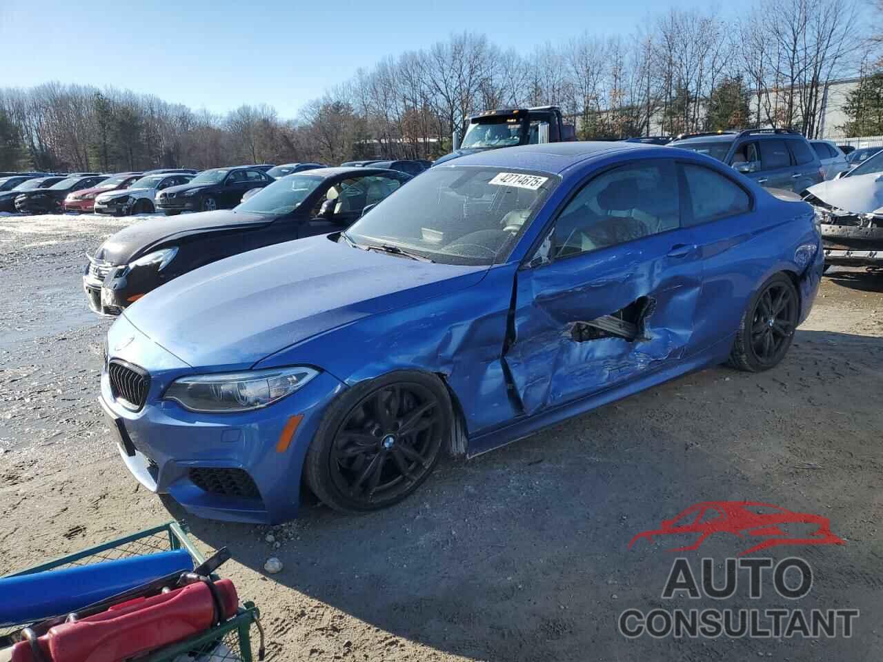 BMW M2 2016 - WBA1J9C55GV371825