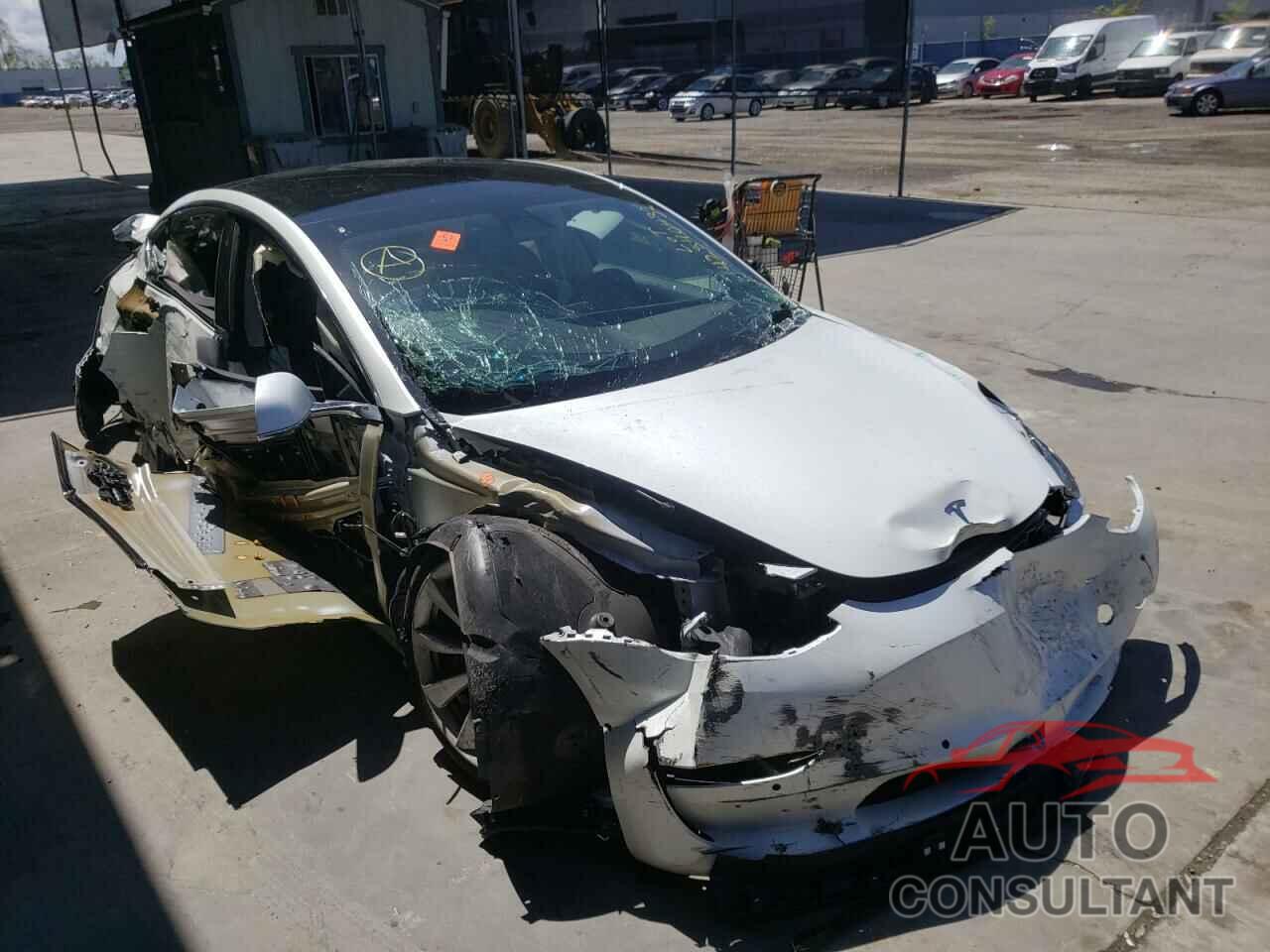 TESLA MODEL 3 2019 - 5YJ3E1EB7KF200036
