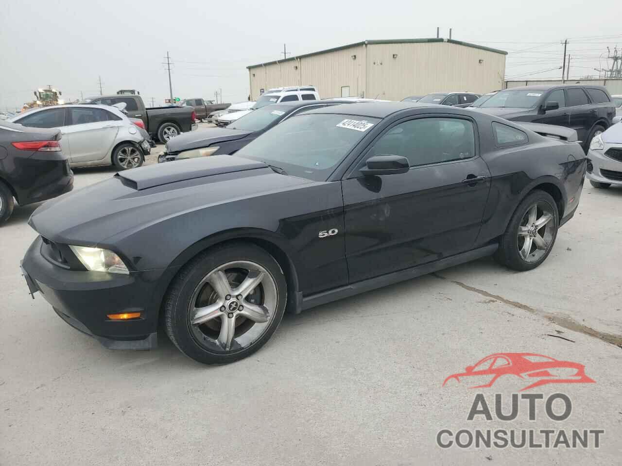 FORD MUSTANG 2011 - 1ZVBP8CF7B5107617