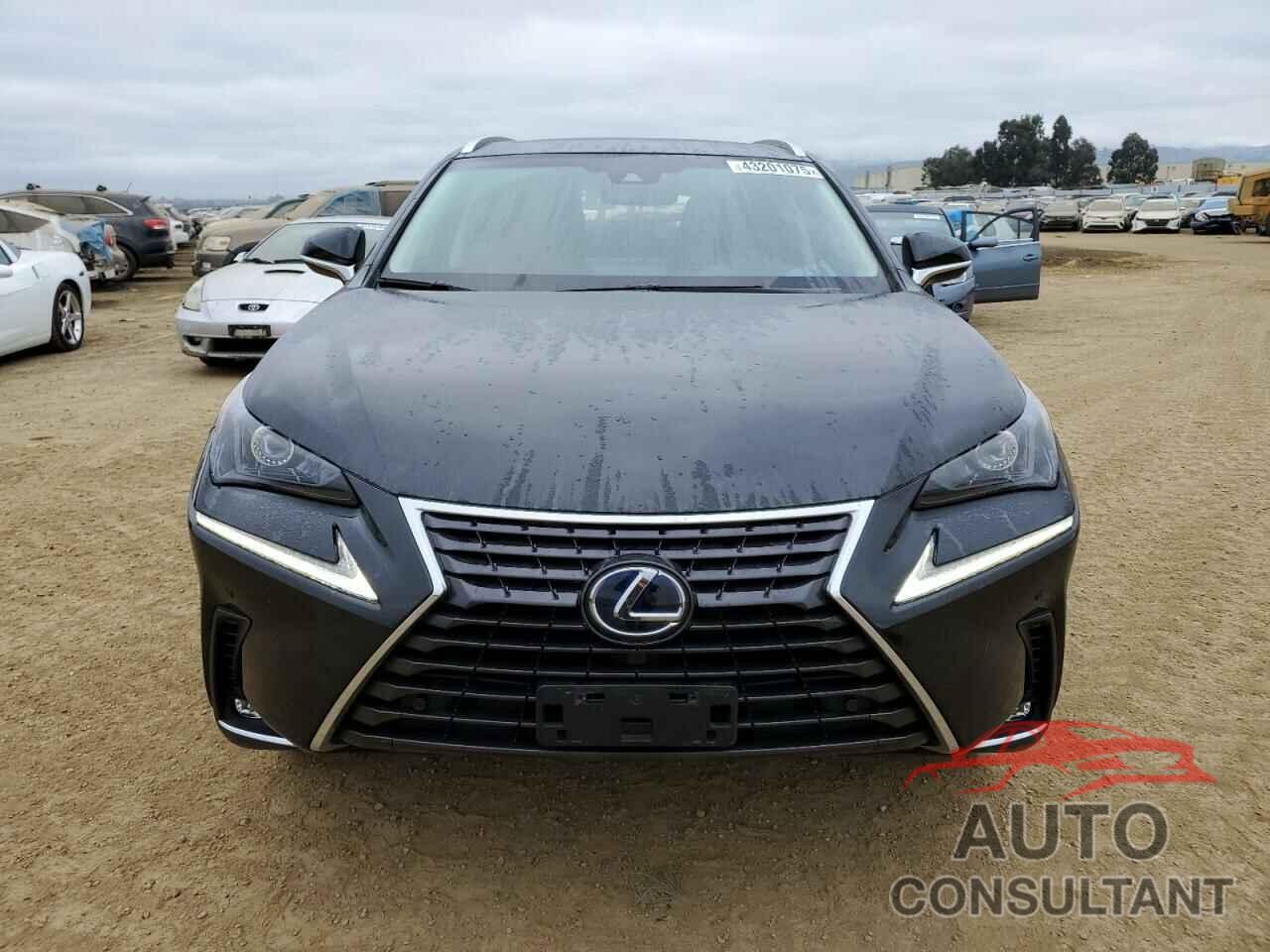 LEXUS NX 2019 - JTJBJRBZ6K2109394