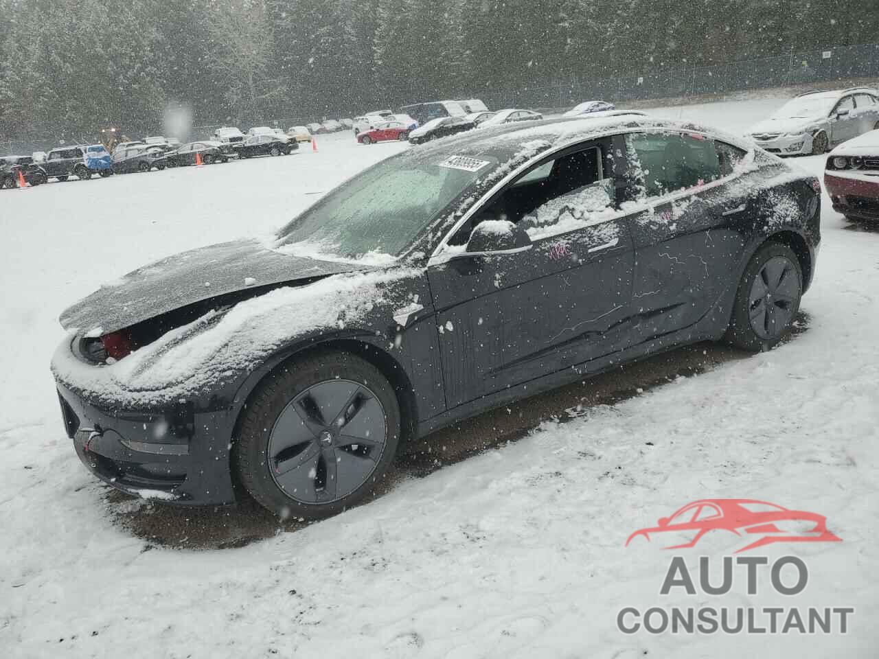 TESLA MODEL 3 2019 - 5YJ3E1EA5KF426700