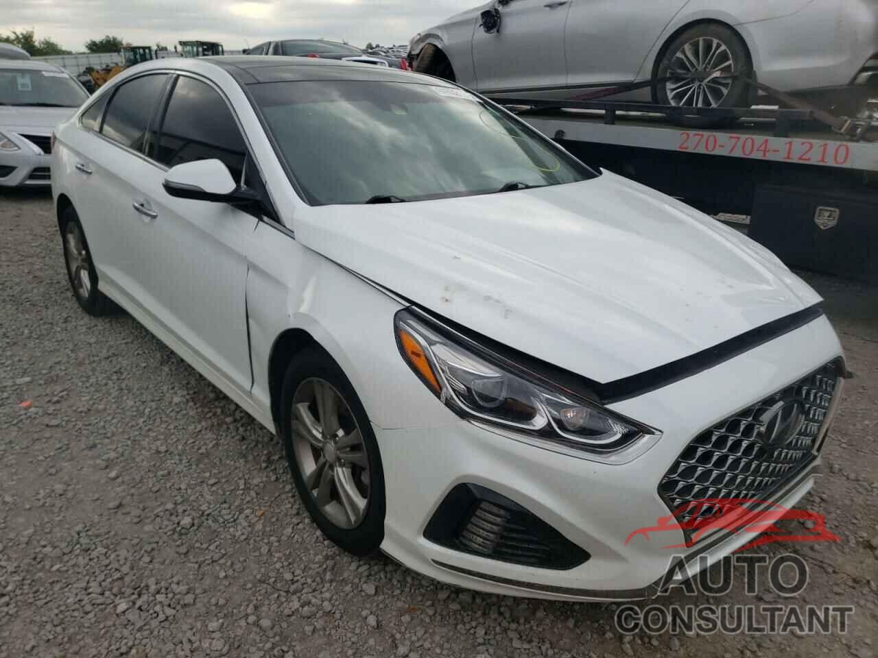 HYUNDAI SONATA 2019 - 5NPE34AF0KH781096