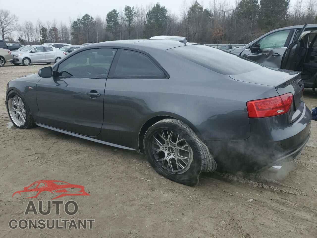 AUDI S5/RS5 2015 - WAUCGAFR0FA057187