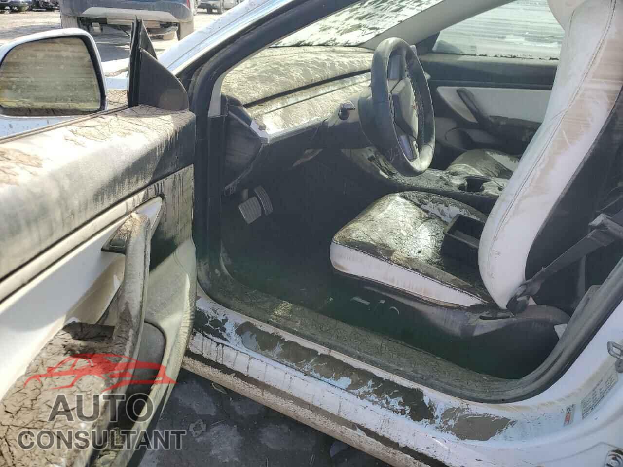 TESLA MODEL 3 2019 - 5YJ3E1EA3KF509087