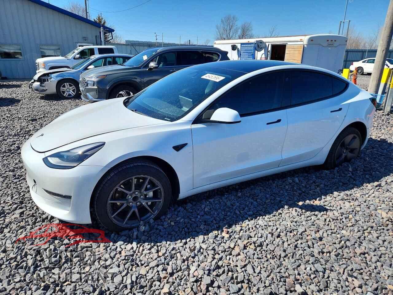 TESLA MODEL 3 2021 - 5YJ3E1EA8MF083593