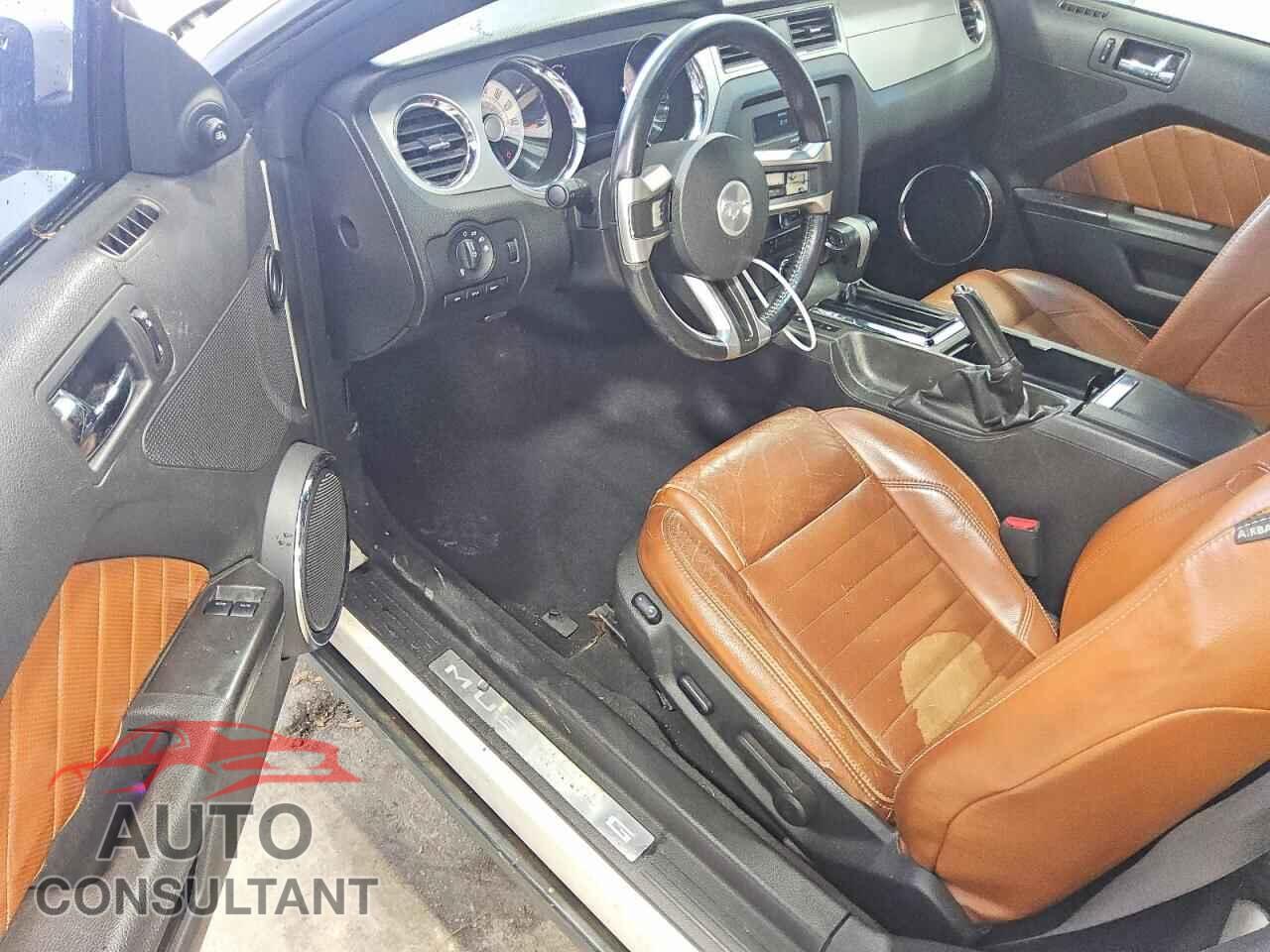 FORD MUSTANG 2010 - 1ZVBP8CH2A5158930