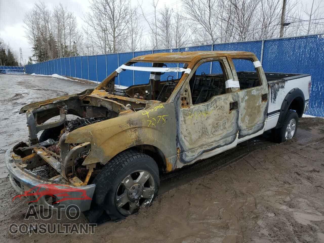 FORD F-150 2013 - 1FTFW1EF2DFD58408