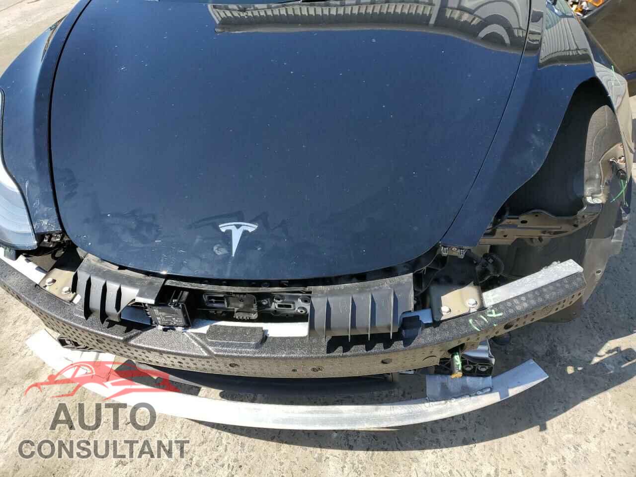 TESLA MODEL 3 2019 - 5YJ3E1EB7KF384927