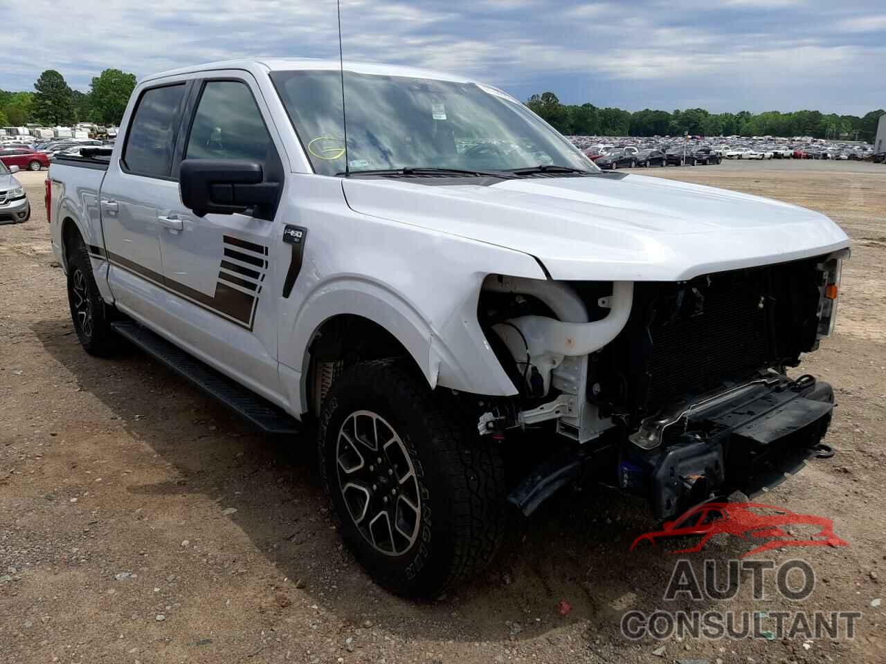 FORD F-150 2021 - 1FTEW1EP7MKD96096