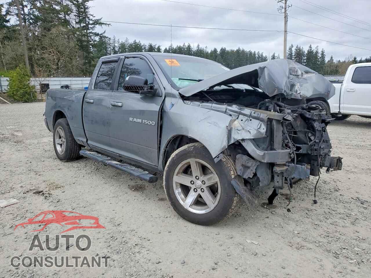 DODGE RAM 1500 2011 - 1D7RV1GT8BS682301