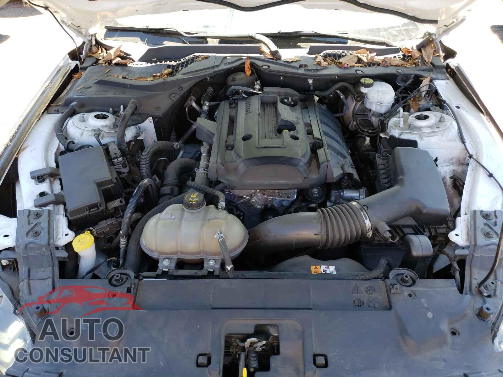 FORD MUSTANG 2018 - 1FA6P8TH8J5114344