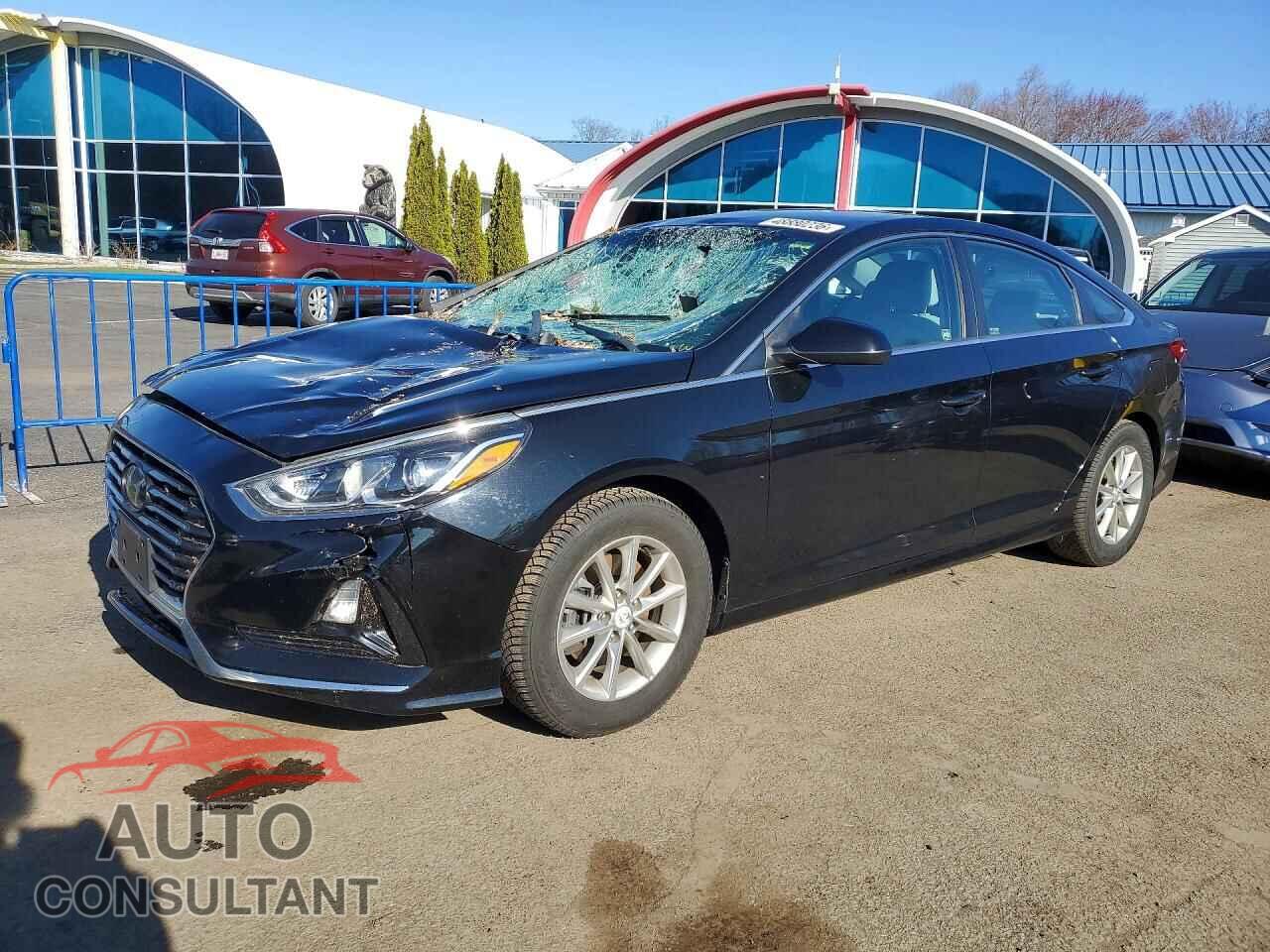 HYUNDAI SONATA 2019 - 5NPE24AF2KH772418
