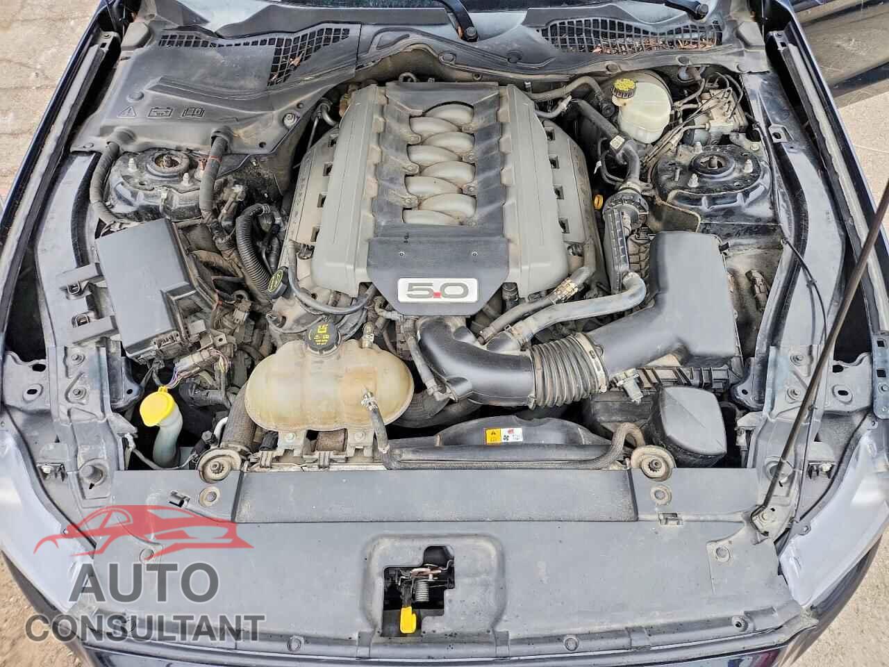 FORD MUSTANG 2017 - 1FA6P8CF5H5258085