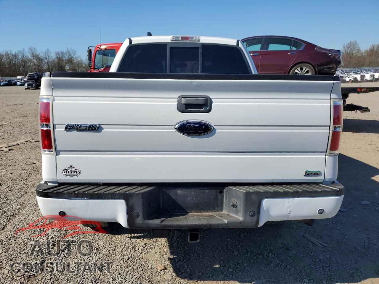 FORD F150 2010 - 1FTFW1EV8AFA29683