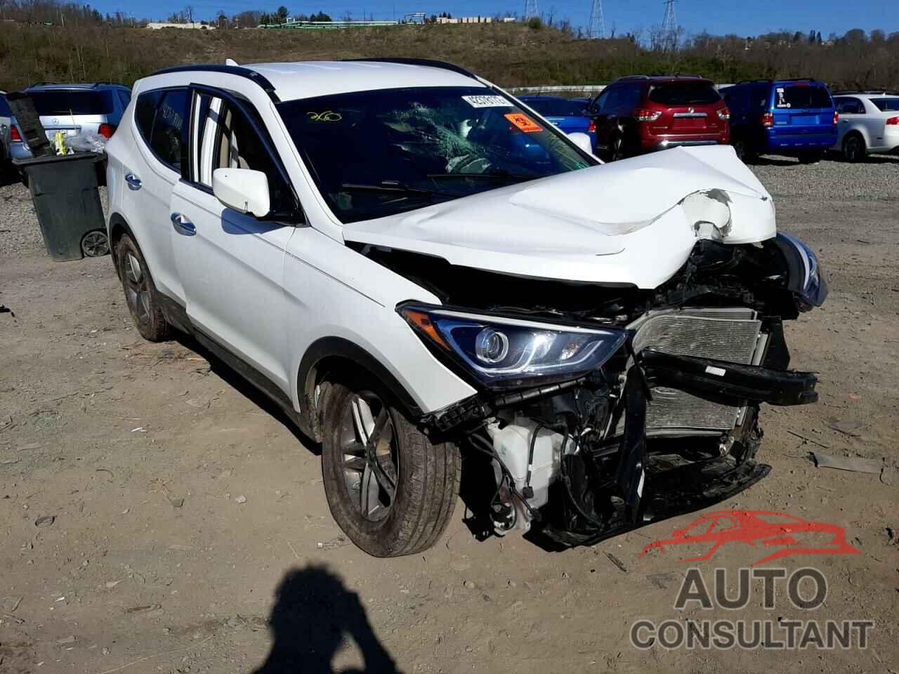 HYUNDAI SANTA FE 2017 - 5NMZUDLB4HH038889