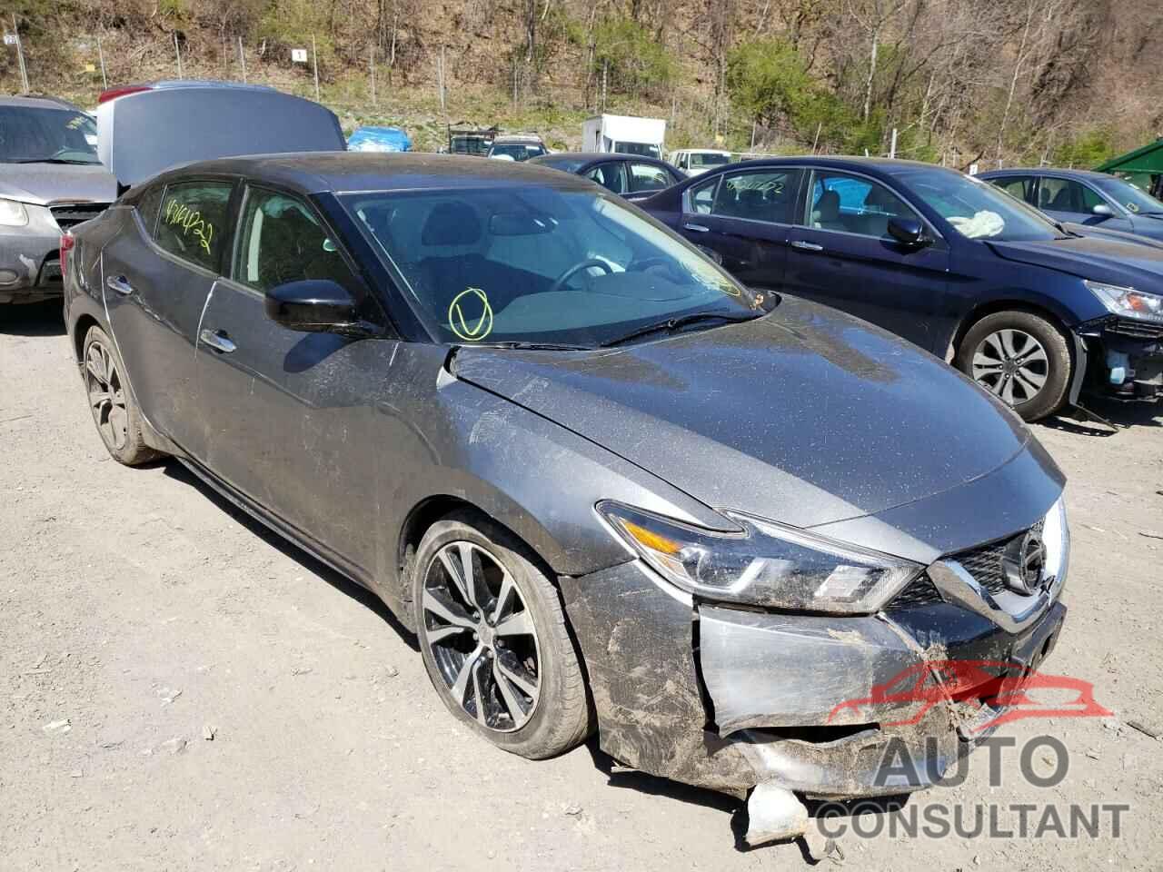 NISSAN MAXIMA 2017 - 1N4AA6AP1HC443242